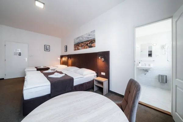 penzion-homer-slany-ubytovani-levne-nedaleko-prahy-noir-hotels-triluzkovy-pokoj