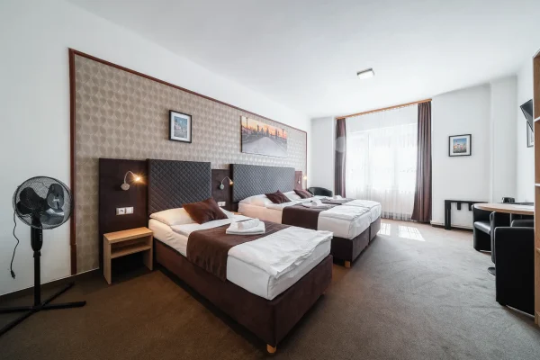 penzion-homer-slany-ubytovani-levne-nedaleko-prahy-noir-hotels-triluzkovy-pokoj