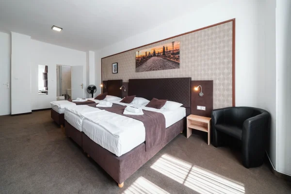 penzion-homer-slany-ubytovani-levne-nedaleko-prahy-noir-hotels-triluzkovy-pokoj