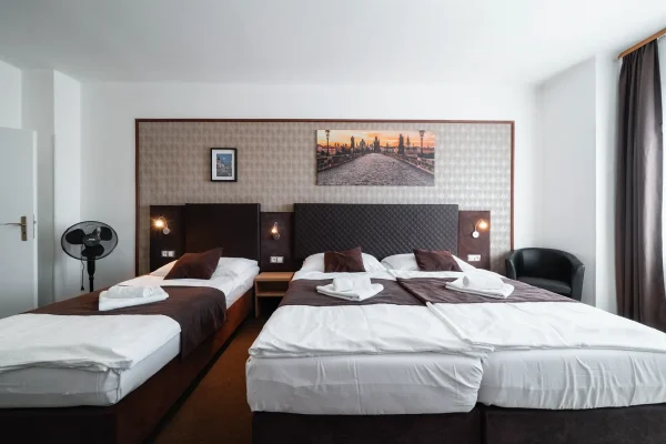 penzion-homer-slany-ubytovani-levne-nedaleko-prahy-noir-hotels-triluzkovy-pokoj
