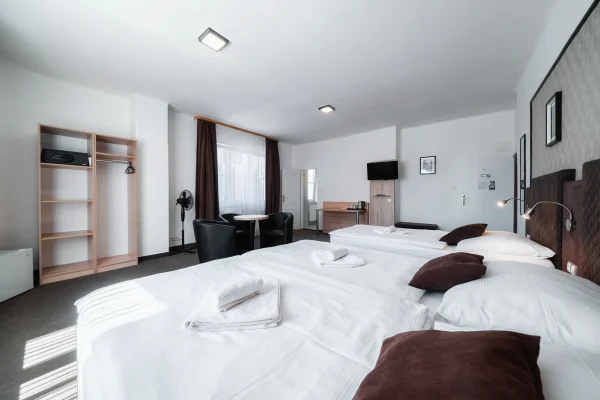 penzion-homer-slany-ubytovani-levne-nedaleko-prahy-noir-hotels-triluzkovy-pokoj